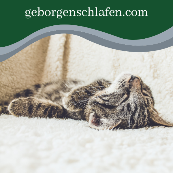Einschlaftipps