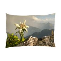 Zirbenkissen Edelweiss - Zirbenkissen Edelweiss - 30 x 20 cm